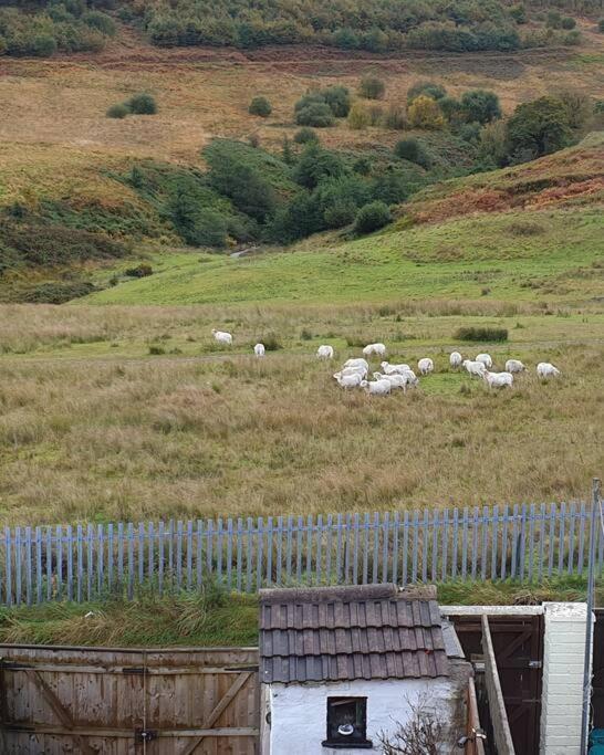 Treherbert Welsh Miners Cottage Four Bedroom House מראה חיצוני תמונה