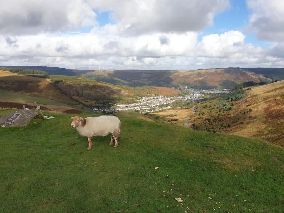 Treherbert Welsh Miners Cottage Four Bedroom House מראה חיצוני תמונה
